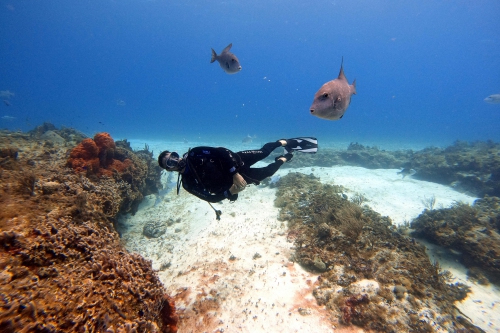 Cozumel 